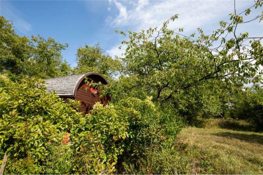 Berviller-en-Moselle Le Chalet Du Chemin Et Sa Roulotte מראה חיצוני תמונה