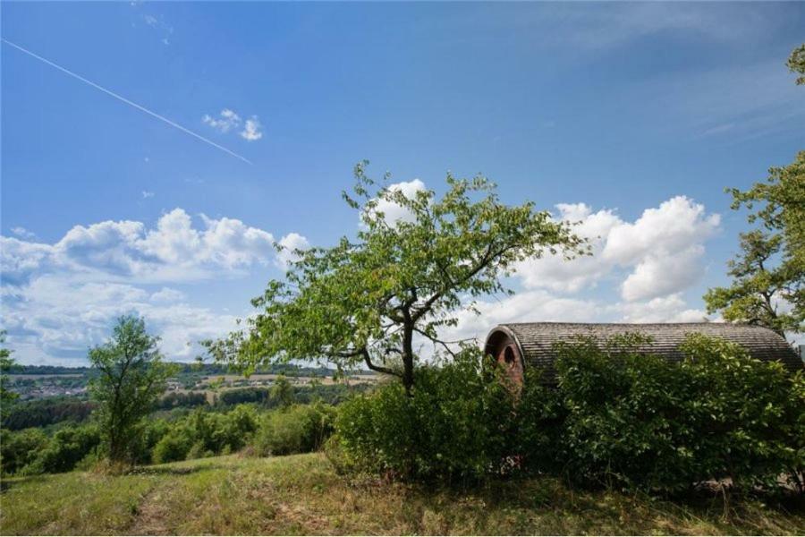 Berviller-en-Moselle Le Chalet Du Chemin Et Sa Roulotte מראה חיצוני תמונה